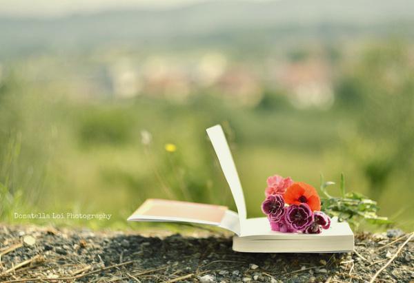 吃什么食物可提高免疫力