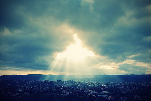 五款蔬果补钙胜牛奶 补出一身好