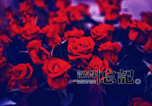 红曲的药用价值