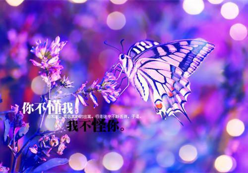 红枣这么吃止咳润肺