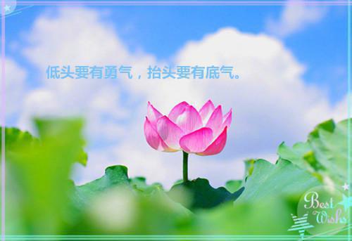 减肥期间，不宜吃的水果