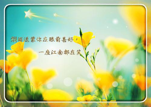 夏季心火旺盛，祛除心火食物排名