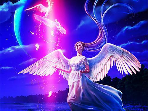 喝茶可补肾，5款补肾茶喝起来