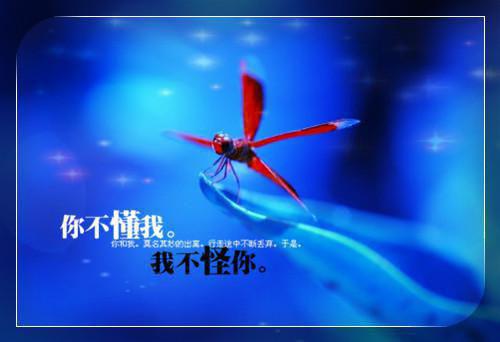 9种食物帮你防寒暖胃