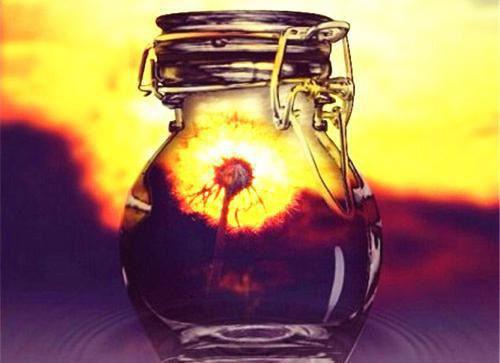 黄瓜菜营养价值剖析