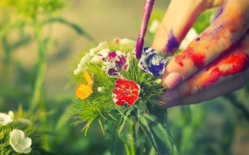 圆白菜防癌 紫圆白菜抗衰