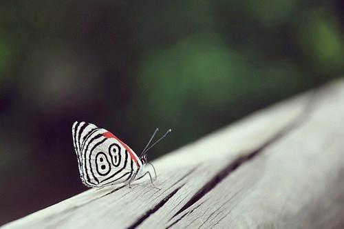 冬季常喝汤 滋补防癌抗感冒