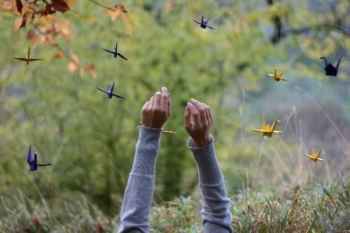 四种中药可入菜养气血