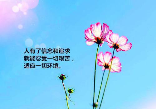 9大食物，夏天吃更养肝