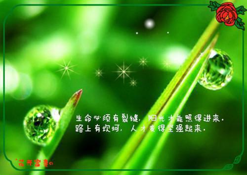 食疗要谨慎，药食同源有风险