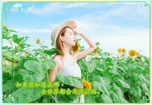 小龙虾的营养分析