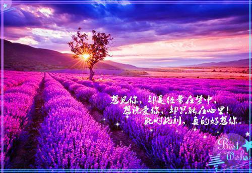 几种对准妈妈极好的食物
