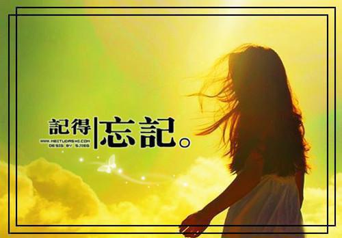 苤蓝的营养价值剖析