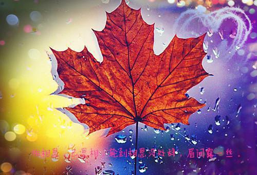 男人也可常吃补身零食！