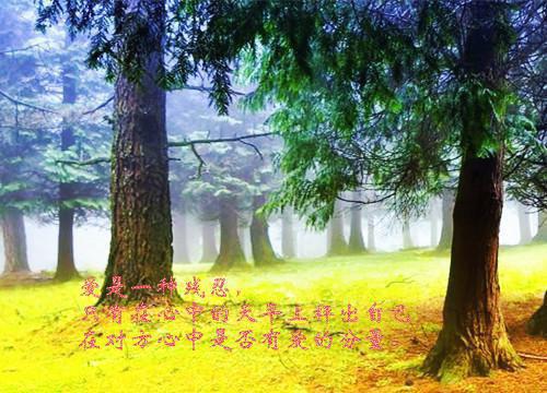 茶水煮饭预防消化道肿瘤