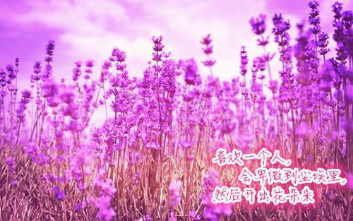 合理饮食，让你的身体更年轻！