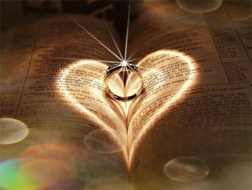 常吃枸杞降三高且延缓衰老