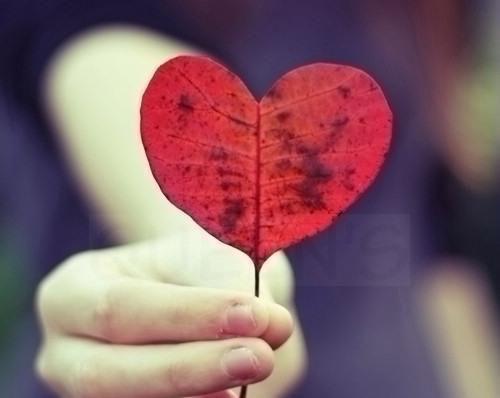 降温来袭 火锅怎么吃暖身又健康