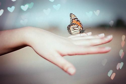 除湿清热三大药膳推荐