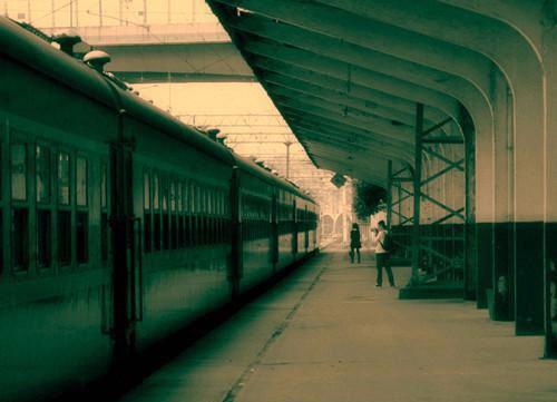 预防近视的食物