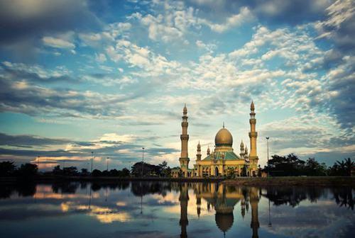 感冒发烧喝一碗紫菜汤