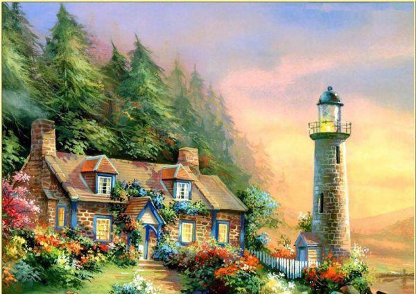 只吃海带叶？海带根煎水助降压