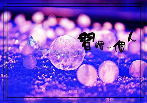 滑子菇的食疗价值