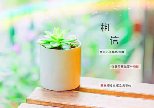 补钙的食品 男人吃什么补钙效果好？