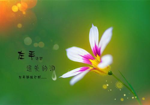缓解冬季便秘的食物，请查收！