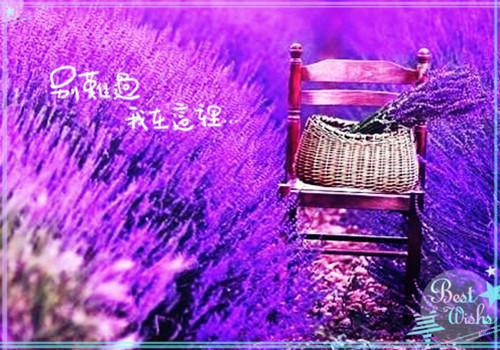 五款宝宝爱喝的冬季暖身汤