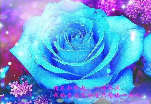 万事开头难 要胎教必须先做好这4项准备工作