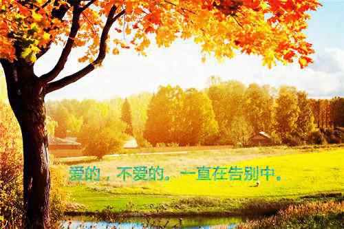 酸奶可减肥，只需搭配一物