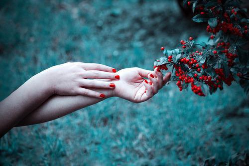 秋冬季 咳嗽食疗方