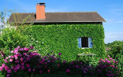 内科 带状疱疹食疗药膳方
