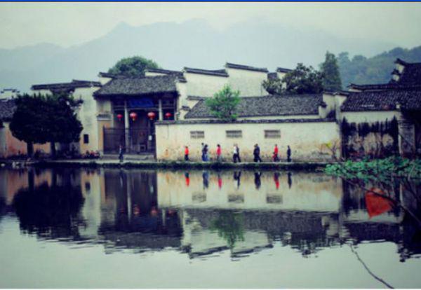 夏季养生，备好7种食物