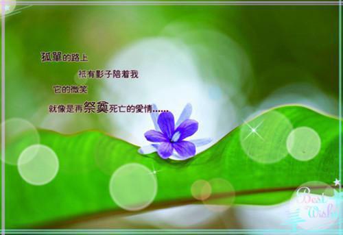 热咖啡 防肝癌