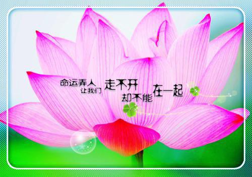 冬季给孩子补钙的好时机