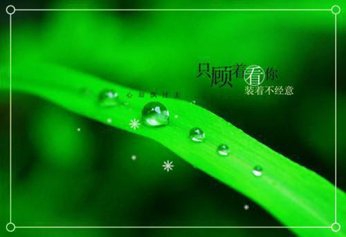 儿童过量补锌影响发育