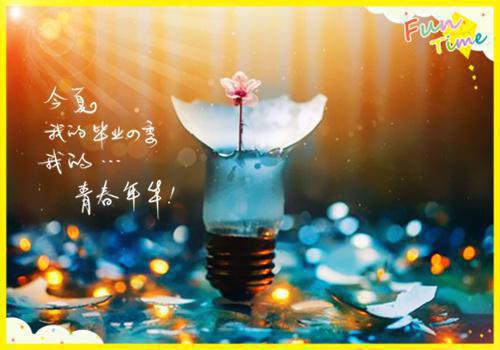 山药木耳炒虾仁 补气益智