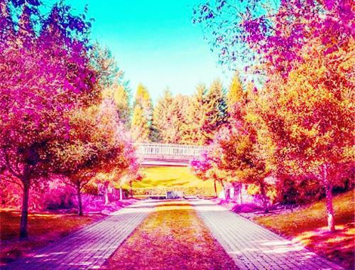 男人吃什么肉最补肾养精