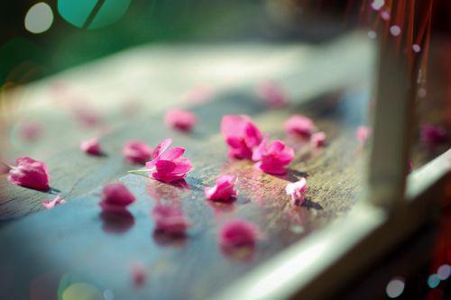 除痱子常喝“三豆汤”