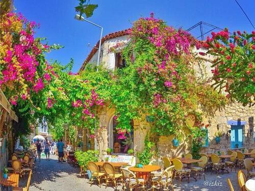 五种食物帮你缓解肾虚