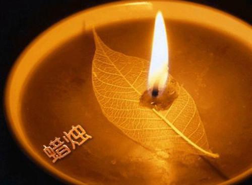 3种丰胸食物太给力