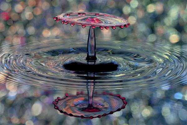 五脏养生对应的最佳食物