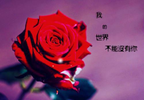 女性常熬夜吃什么好？多吃7种食物助恢复