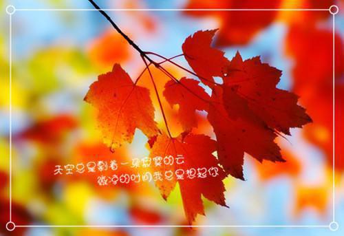 学会四款汤 经期补气又补血