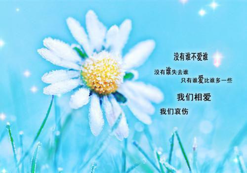 秋季健康保健 推荐四大健康食品