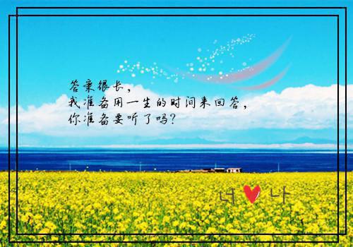 素食助你拥有妖娆身段