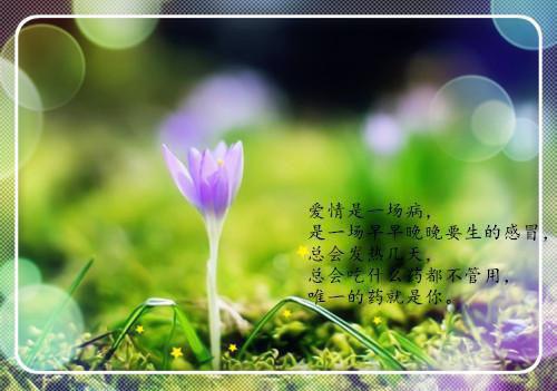 秋冬皮肤干燥，吃什么水果护肤？