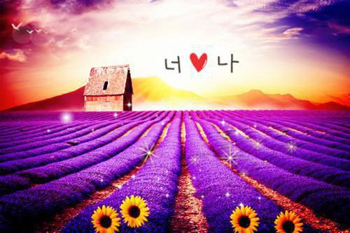 祛湿养生汤，夏天喝更祛湿